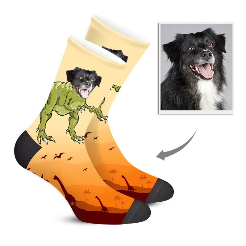 Custom Dinosaur Socks With You Pet Face On Them Milysocks